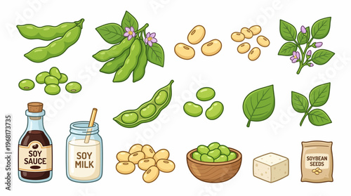 Comprehensive soybean collection including fresh pods dried beans soy milk sauce tofu and plant elements isolated on white background