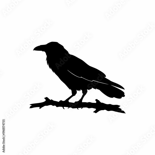 crow silhouette vector