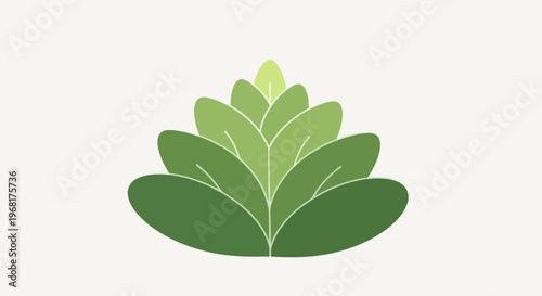 Stylized Green Plant with Layered Leaves.