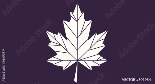 Stylized Maple Leaf Outline on Dark Background.