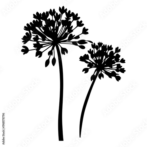 Black silhouette of allium flowers, botanical floral vector illustration, minimalist garden plant stalks isolated on white background