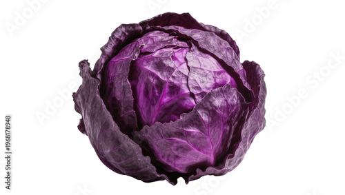 Foto Hefty round purple cabbage head with tightly packed crinkled leaves, isolated on