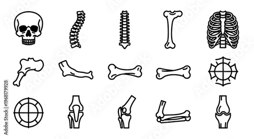 Human Anatomy Icons: Skull, Spine, Hip, Leg, Knee, and Pelvis