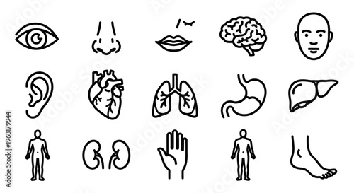 Human Body Organs Icons: Eye, Nose, Ear, Heart, Figure, Kidneys
