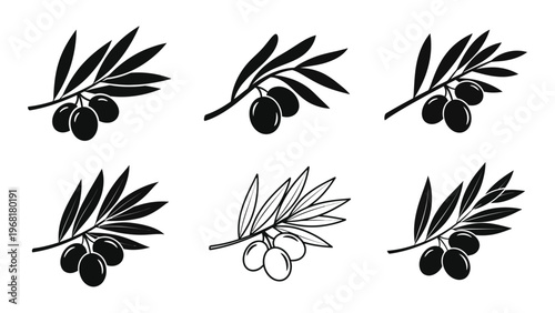 A collection of olive branches with dark ripe olives and delicate leaves is presented in a stark silhouette high quality professional