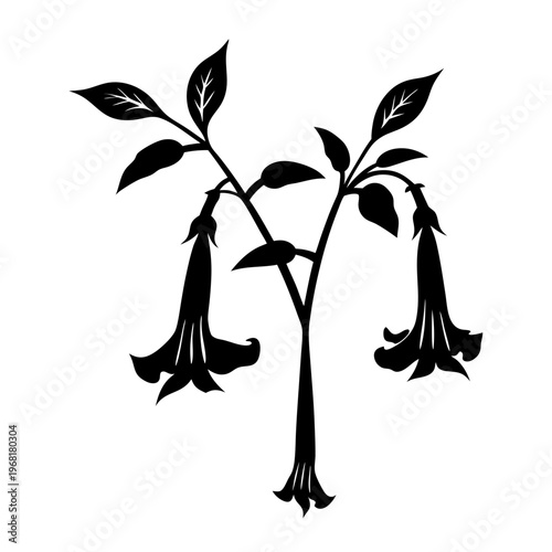 Vintage botanical brugmansia silhouette, black floral angel trumpet vector illustration, hand drawn garden flower branch for elegant logo design