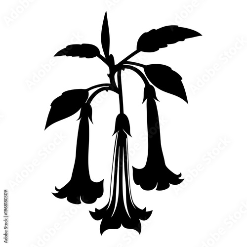 Brugmansia angel trumpet flower silhouette, botanical floral vector illustration, black garden plant branch with hanging trumpet-shaped blooms