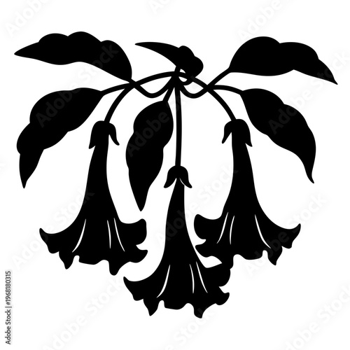 Vintage botanical brugmansia flower silhouette, black floral angel trumpet vector illustration, elegant garden plant with hanging blossoms