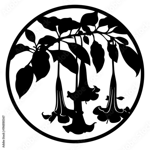 Vintage botanical silhouette of Brugmansia angel trumpet flowers, floral circular emblem vector, black and white garden plant illustration