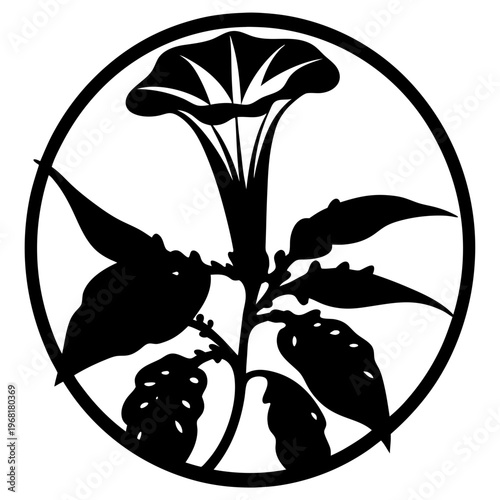 Vintage botanical datura flower silhouette, black and white floral emblem in circular frame, trumpet flower vector illustration for logo design