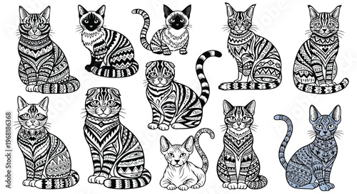 9 cat breeds in tribal style, Persian Siamese Maine Coon British Shorthair Bengal Scottish Fold Ragdoll Sphynx Russian Blue, tribal ornament pattern, ethnic geometric shapes, bold black lines