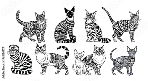 tribal animal cat breeds in one frame, Persian Siamese Maine Coon British Shorthair Bengal Scottish Fold Ragdoll Sphynx Russian Blue, modern tribal art, geometric ornamental shapes, monochrome vector 