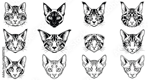 cat breeds tribal tattoo vector set, Persian Siamese Maine Coon British Shorthair Bengal Scottish Fold Ragdoll Sphynx Russian Blue, black tribal design, sharp lines, ethnic ornament