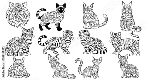A collection of various cat breeds in different poses and line art styles for cat breeds photography reference