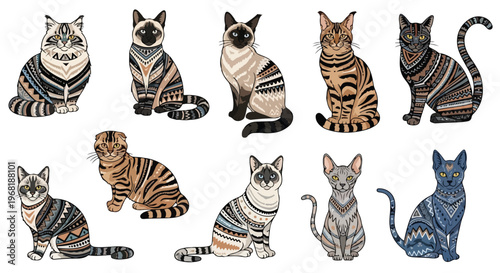 Digital illustration of various cat breeds in different poses and colors against a clean white background for cat breeds photography reference