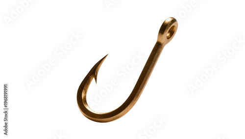 Schilderij op canvas Shiny bronze fishing hook with a curved shank and sharp point, isolated on trans