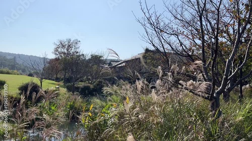 4K Nianhua Bay Traditional Zen Architecture and Silver Grass