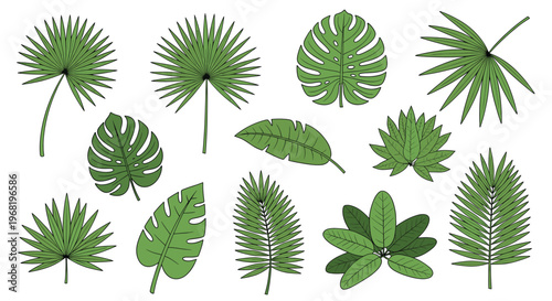 A vibrant collection of diverse tropical green leaves perfect for creating exotic jungle motifs in summer vacation promotions and naturethemed graphic projects.