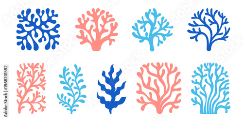 Abstract coral reef element set in organic shapes and vibrant colors