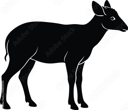 Black Silhouette of a Small Antelope on White dik-dik