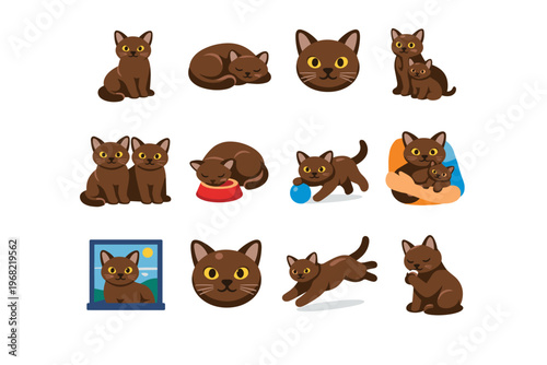 Collection of cute cartoon brown cats in various poses and activities