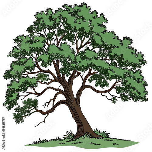 tree with green leaves