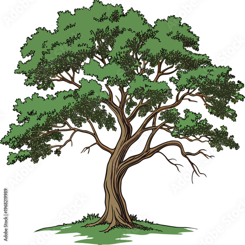 tree with green leaves