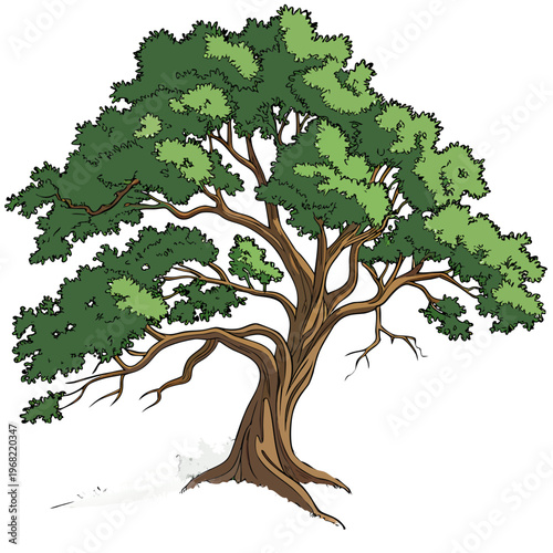 vector illustration of a tree