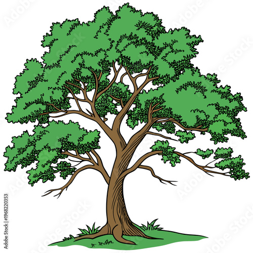 green tree vector