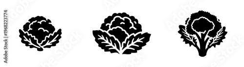 Silhouette of a Cauliflower, Detailed and Elegant