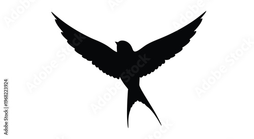 A striking black bird in flight wings fully extended silhouette