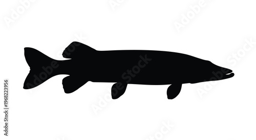 A striking black silhouette of a northern pike fish