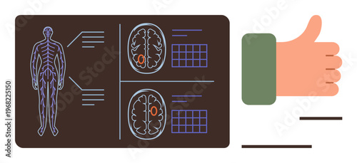 Healthcare, neurology, diagnostics, decision-making, approval, education. Diagram of a nervous system and brain scans with a thumbs-up gesture. Neurology and diagnostics concept
