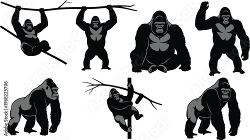 Gorilla silhouette collection set, powerful ape poses, wild animal illustration, jungle primate in different actions, black gorilla icons isolated on white background