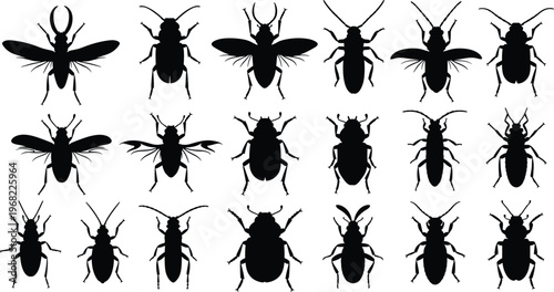 Insect silhouettes collection set, various bug shapes, beetles and flies, wildlife entomology illustration, black insect icons isolated on white background for design