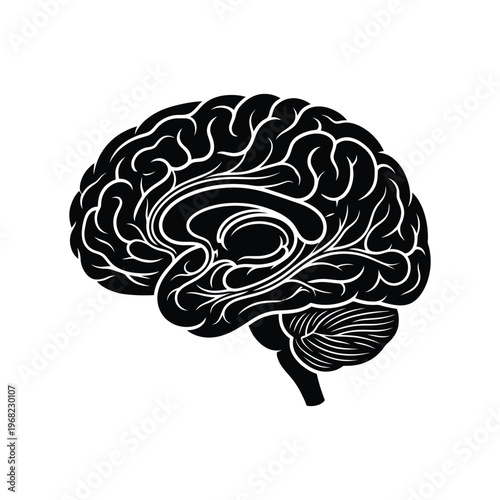 Black and white of a human brain anatomy medical