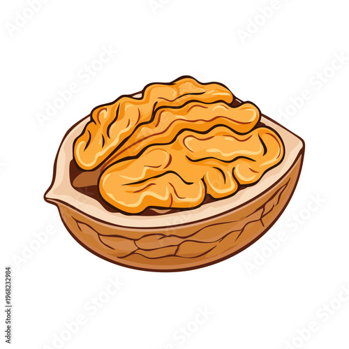 Illustration of a cracked walnut revealing the inner kernels against a white background