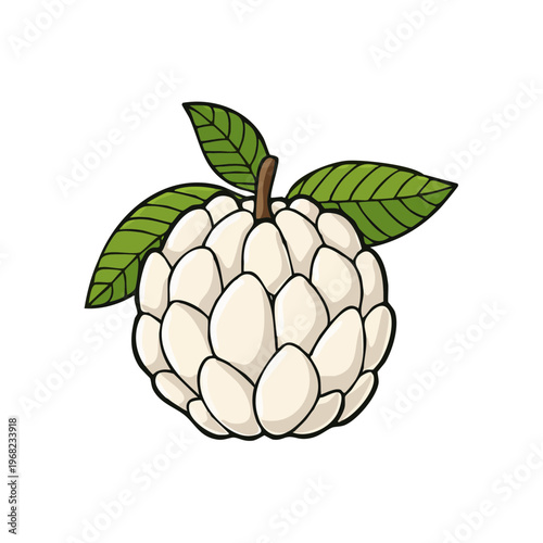 Tropical Fruit Custard Apple with Green Leaves Illustration Isolated Graphic