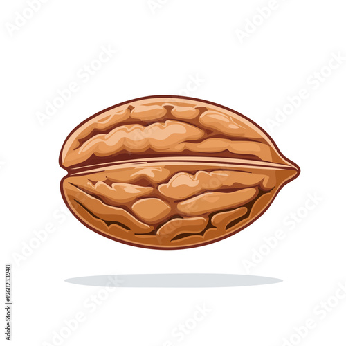 Realistic Illustration of a Whole Walnut with Textured Shell Isolated on White Background