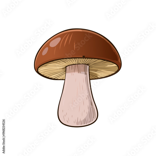 Detailed illustration of a brown mushroom with a light stem and gills under the cap