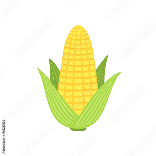 A single ripe ear of yellow corn with green husks and leaves