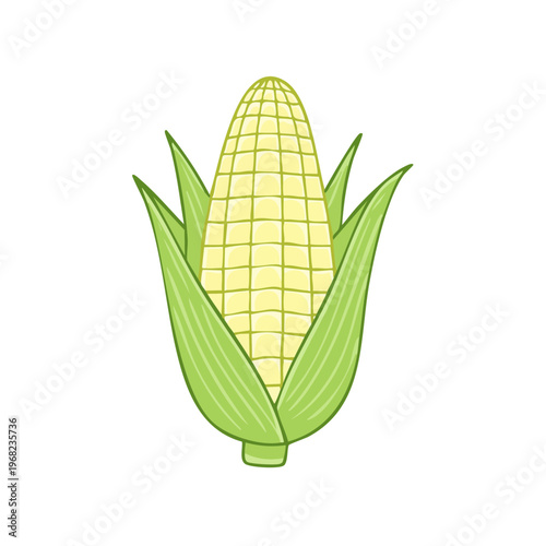 Fresh Corn on the Cob Illustration Isolated on White Background Natural Food Ingredient