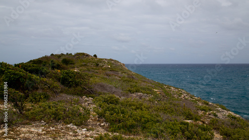 Coast at the Atlantic ocean on Antigua island, Caribbean.