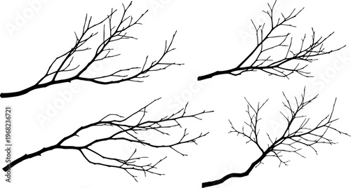 Collection of black bare tree branch silhouettes white background