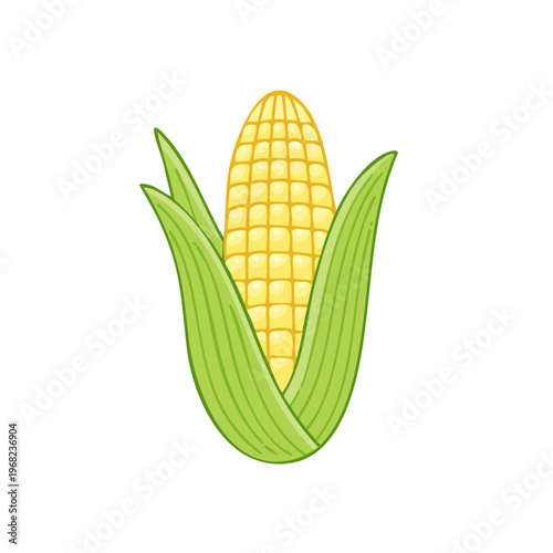 Fresh Yellow Corn Cob with Green Leaves Illustration
