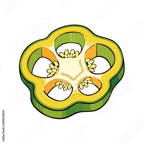 Green bell pepper slice with seeds and white background