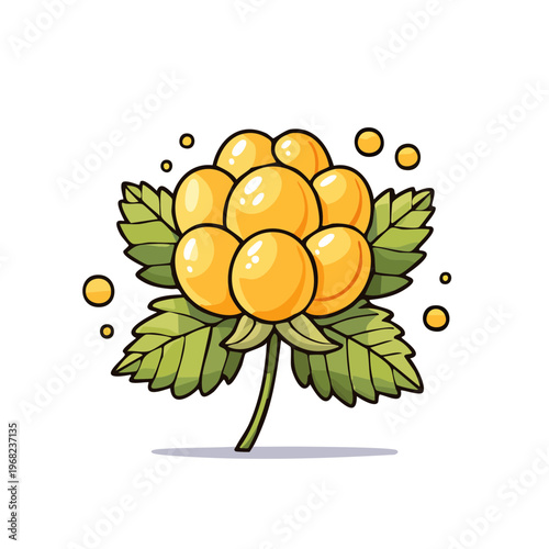 Cartoon Cloudberry Illustration With Leaves And Bubbles