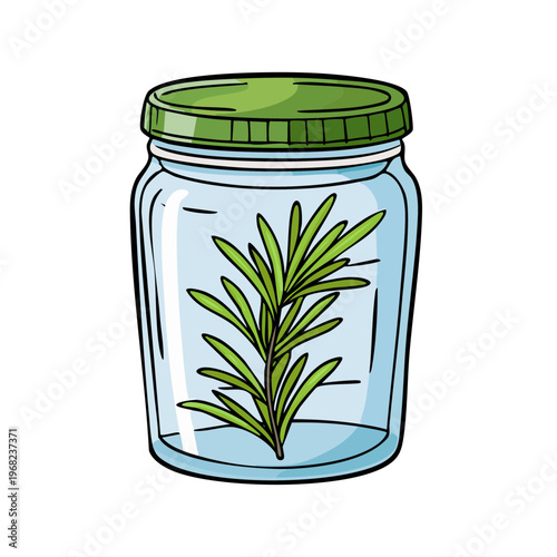 Green herb sprig preserved in a clear glass jar with a green lid for cooking or scent
