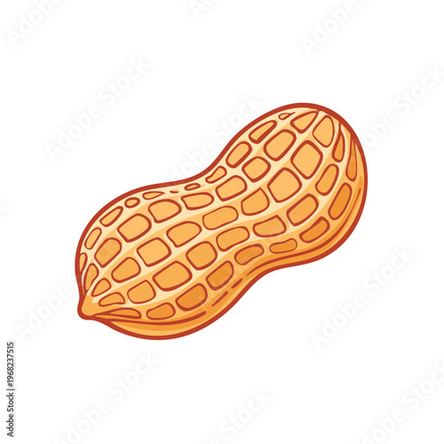 Cartoon Peanut with Textured Shell Detailed Vector Illustration