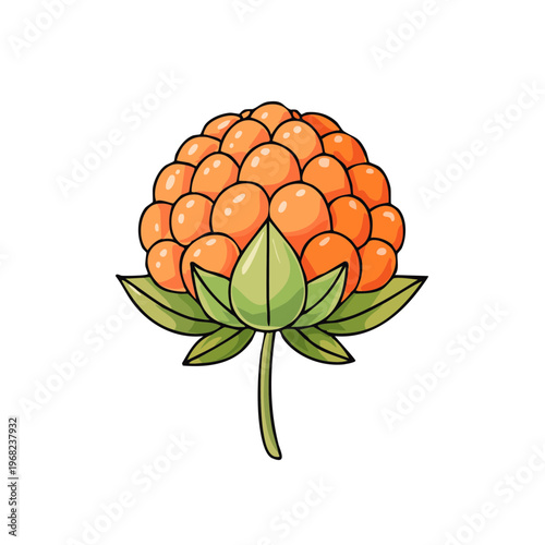 Stylized illustration of a ripe orange cloudberry with green sepals and stem